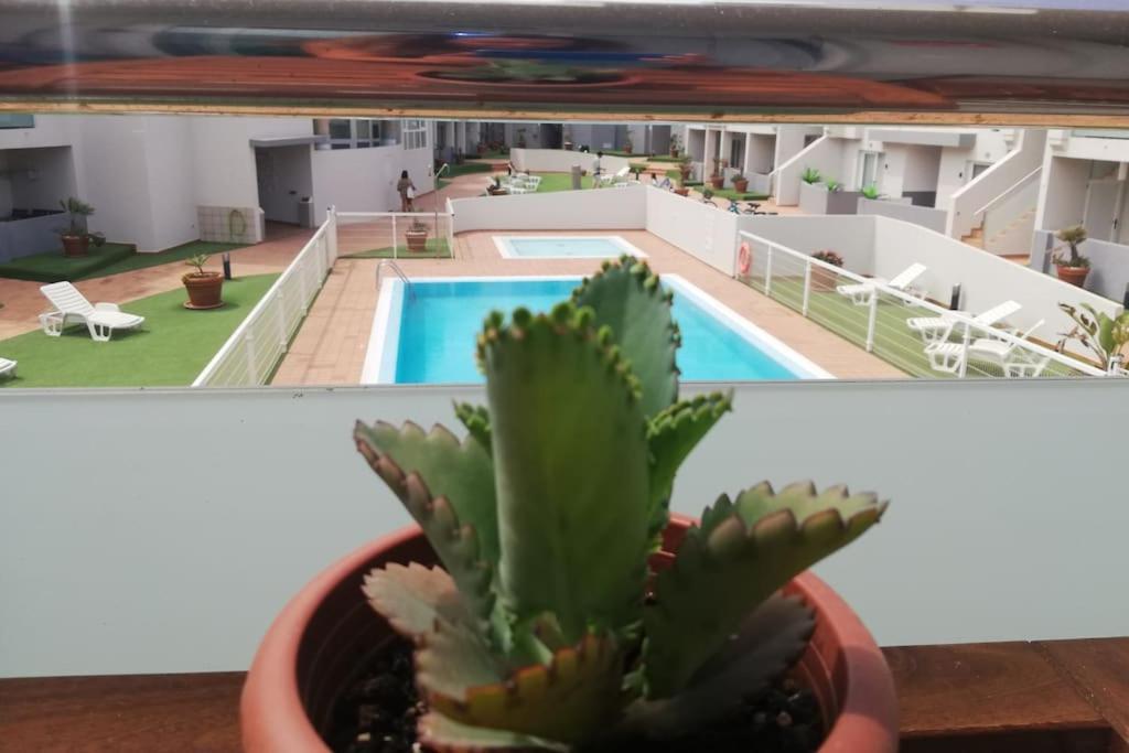 Blue Ocean Corralejo: Sunny Terrace, Pool, Wifi Apartamento Exterior foto